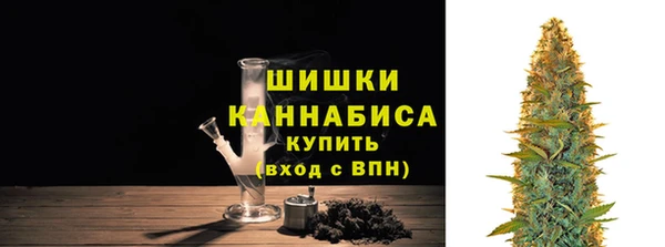 гидра Бронницы