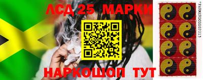 гашик Малгобек