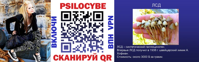 Галлюциногенные грибы прущие грибы Городец