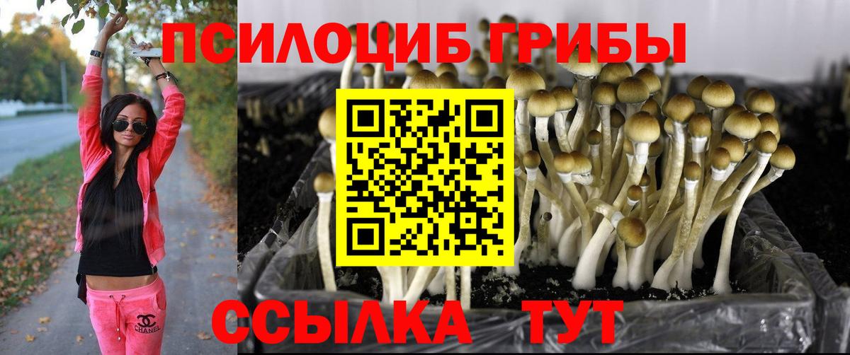 Псилоцибиновые грибы ЛСД Городец