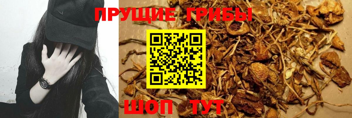 Городец  Галлюциногенные грибы MAGIC MUSHROOMS  Вход с VPN 